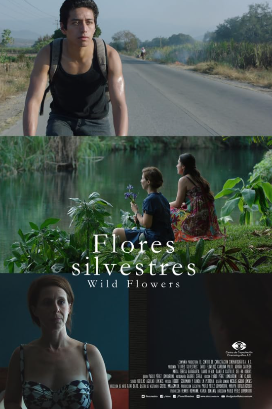 Flores Silvestres